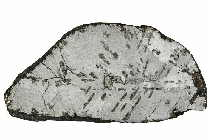 Etched Canyon Diablo Meteorite Slice ( g) - Arizona #356055